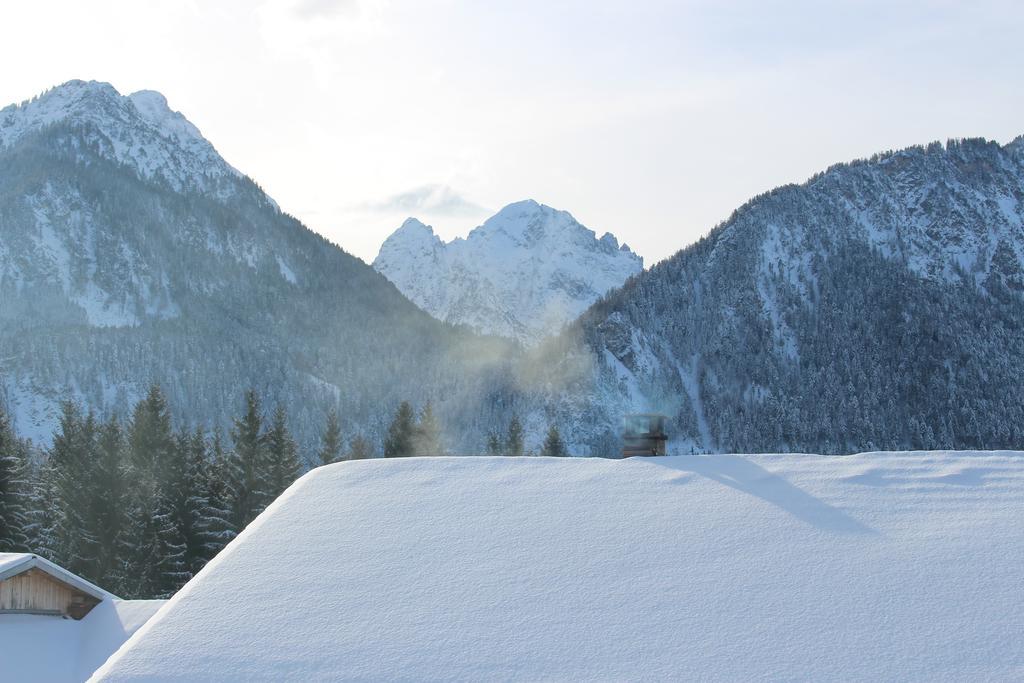 Alpenmotel Saeuling Pinswang Bagian luar foto